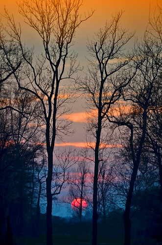 trees sunset sky sun color nature germany landscape deutschland soleil sonnenuntergang saxony natur himmel ciel sachsen tobi landschaft sonne farbe bäume allemagne germania supershot