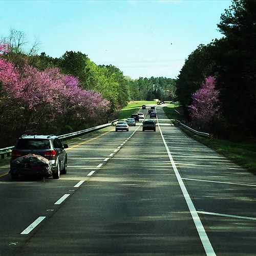 Redbud along the way! Always a good thing. #ontheroadagain #spring