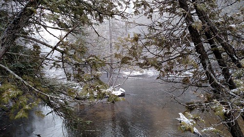 snow storm mi river spring rare cedars visibility fernridge rapidriver snowdance march2015