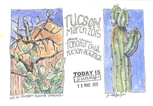tucson arizona march 2015