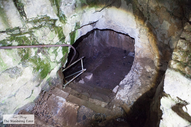 Entrance to the damp cave, allegedly an escape route from the castle