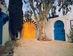 Yellow door in Sidi Bou Saïd