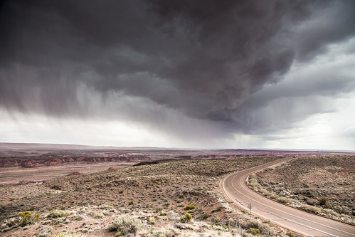 storm desert painted rainstorm petrifiedforestnationalpark