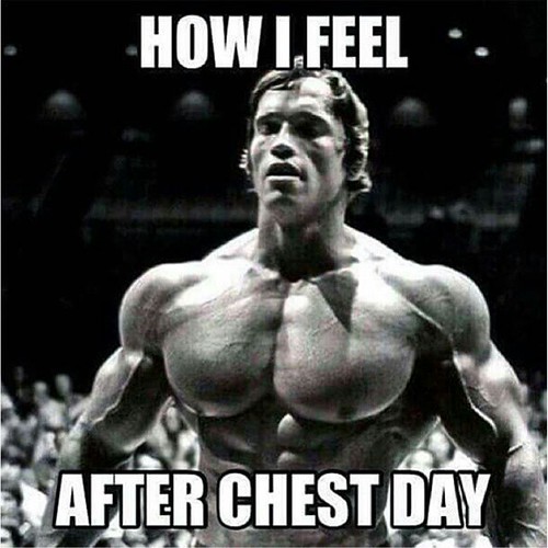 Todleho Blog: this is how i feel after chest day 😀 #gym #gymmotivation