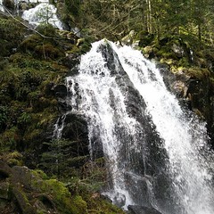 Chasing Waterfall...