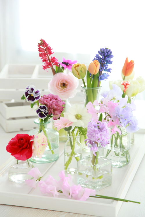 The apothecary jars can also be a perfect diy vase alternatives