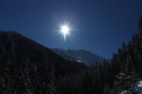 nature soleil suisse hiver bleu neige valais montagnes sapins forêts champexlac