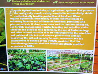 organic-agriculture-manila.jpg
