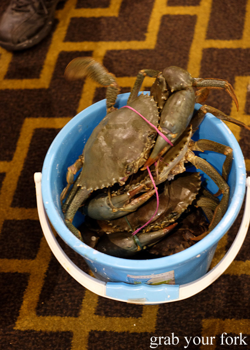 Live mud crabs at Golden Palace Seafood Restaurant, Cabramatta