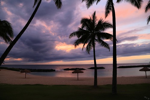 sunset sky usa canon palms landscape hawaii oahu lagoon pacificocean koolina 5dmkiii photosbymch