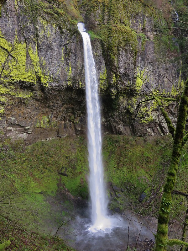 Elowah Falls