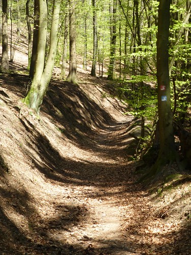 hiking wandern sieg siegerland herchen natursteig