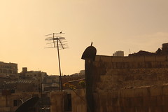 Al Balad, Amman, Jordan