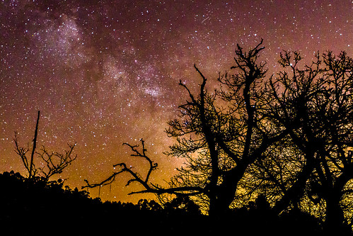stars noche arboles estrellas astronomy astronomia galaxia nebulosa milkyway largaexposicion fotografianocturna vialactea