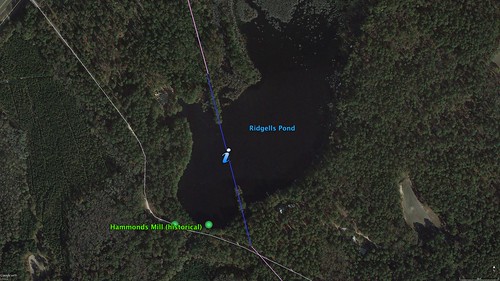 Ridgell's Pond