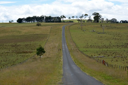road landscape australia nsw australianlandscape greenhills guyra northerntablelands newenglandtablelands greenhillsroad