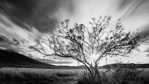 sun white black tree clouds long exposure hill mesquite lone plain