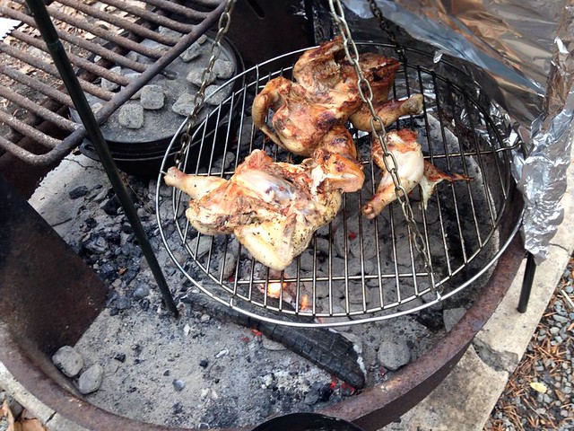 Chicken grilled over a campfire 