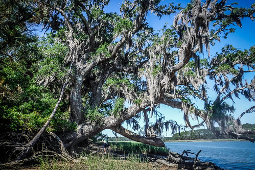 May River Paddling with Lowcountry Unfiltered-55