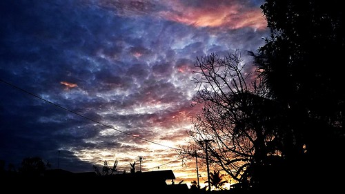 trees sky panorama cloud sun nature weather clouds landscape dawn branch skies gothic scene spell midnight cult horror awan apocalyptic pemandangan postapocalyptic