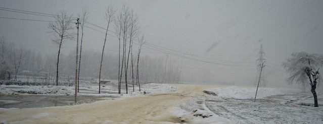 Welcome to the white kingdom! A beautiful view of the blanket of snow saturated on a road towards Awantipora village. Disruption of air and road traffic, power cuts are common during heavy snowfall days.