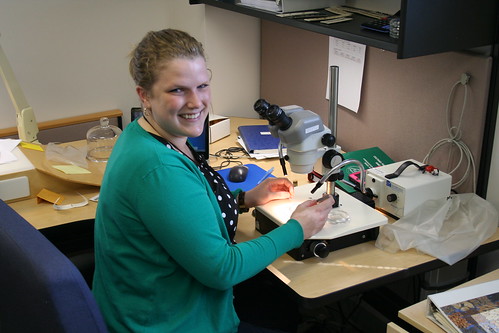 Testing can provide the vital information needed when deciding what cover crop seed to purchase. Pictured here is AMS Botanist Elizabeth Tatum identifying a weed seed. (AMS photo)