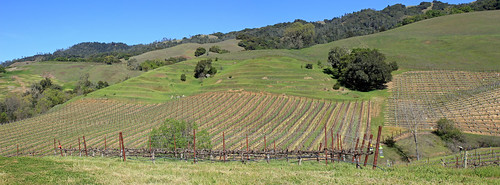 california panorama vineyard winery sonomacounty winecountry healdsburg panoramicview hannawinery march2015