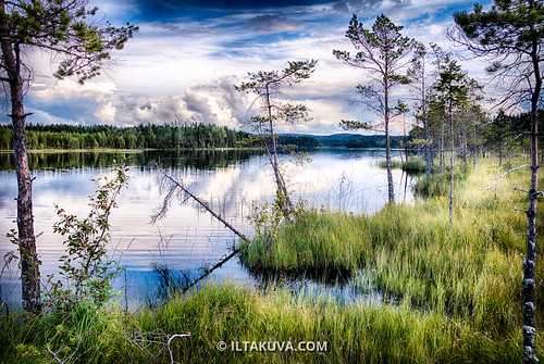 lake reflection tree nature finland northkarelia