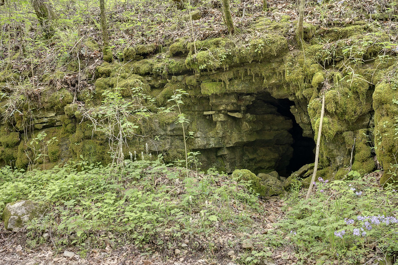 Whipporwill Hollow Cave, Dekalb County, Tennessee