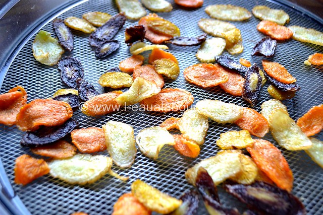 Chips de Carottes © Ana Luthi Tous droits réservés 
