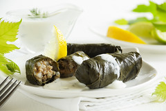 los dolmades como entrante de la cocina griega genuina. Dolma, stuffed grape leaves, turkish and greek cuisine