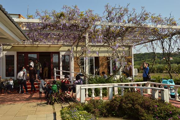 紫藤咖啡園