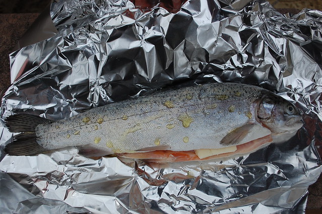 Camping: Fresh Trout; $4.85