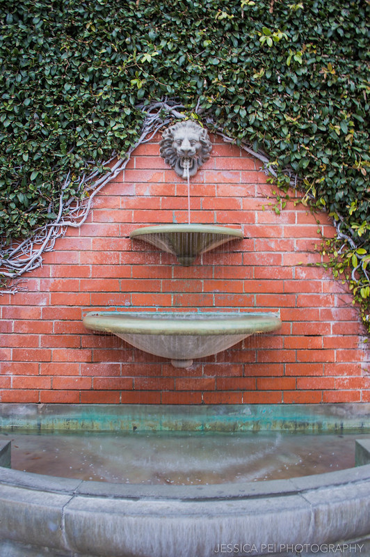 Lion Fountain in Carmel California