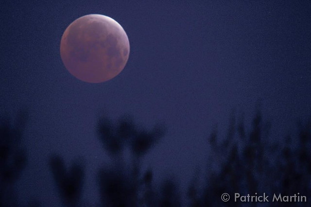 A total lunar eclipse was one of the highlights of April 2015. (Patrick Martin)