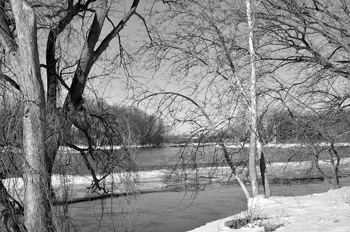 trees newyork ice river blackwhite union earlyspring susquehannariver icebreaking flowingwater viewwest townofunion williamhillpark