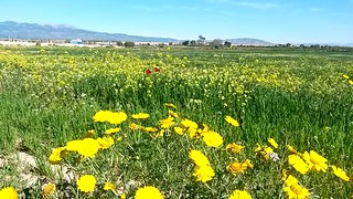 Primavera en el valle del Guadalentín #MediTB15