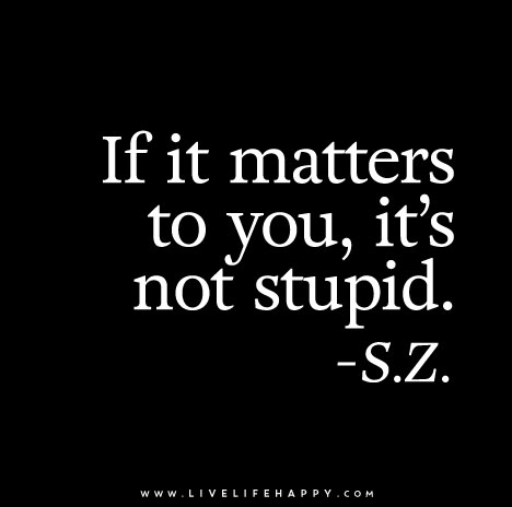 If-it-matters-to-you,-it’s-not-stupid