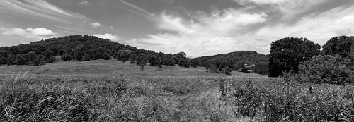 blackandwhite panorama pano meadow iowa dubuque dubuquecounty swissvalley swissvalleynature