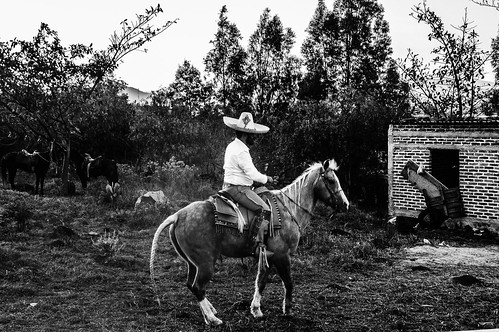 life ranch horse plant man black tree green love beautiful hat landscape mexico photography spur freedom nikon stream outdoor withe country natura freetime simple charro blackandwithe d3200