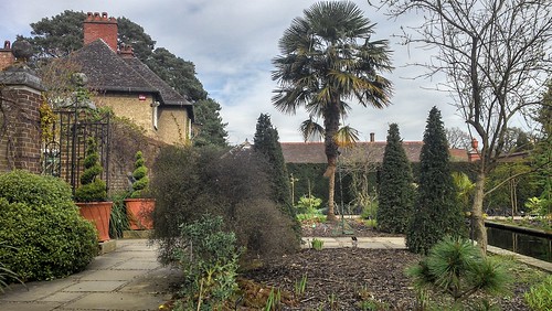 Wide view of foliage garden