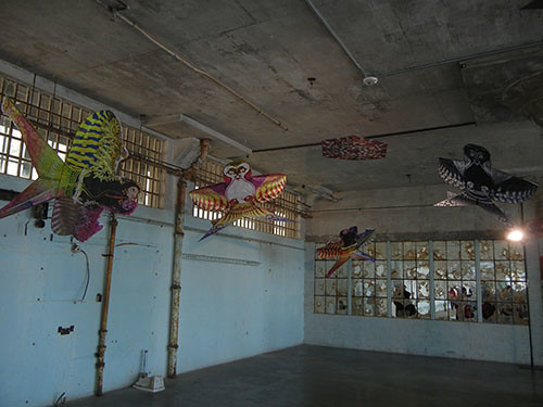 DSCN1420 _ @Large_ Ai Weiwei on Alcatraz