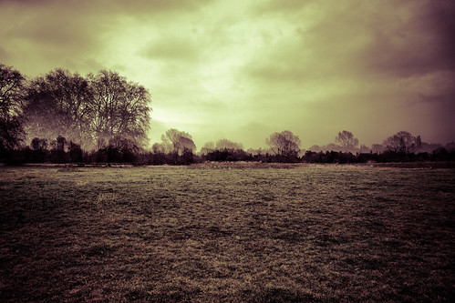 winter sky cloud mist abstract tree london nature field grass fog thames skyline landscape woods distorted outdoor horizon blended middlesex brentford isleworth simonandhiscamera