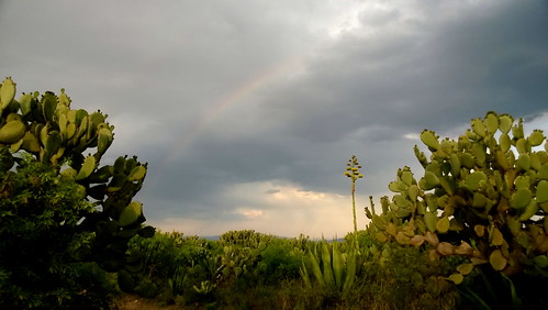 arcoiris rainbow quiote