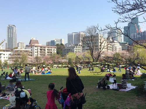 東京ミッドタウンの桜 2015/3/30