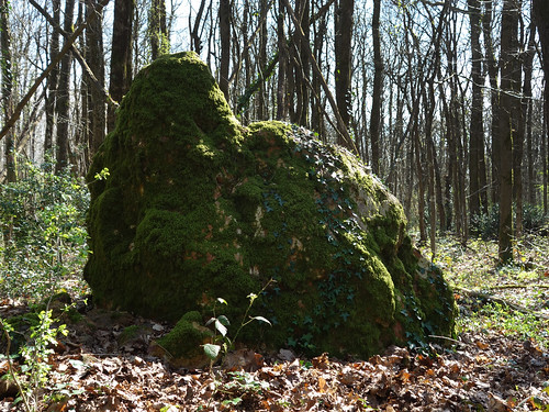forêt huguenots menhir mégalithe paysdelaloire loireatlantique pierrepin sionlesmines pierredeshuguenots