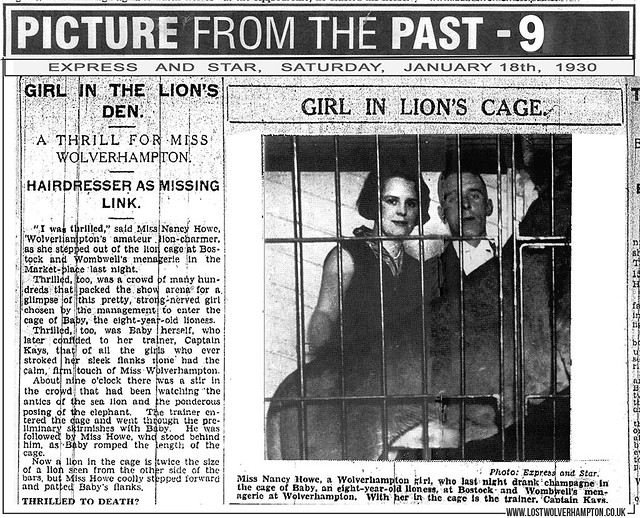 Pictures From The Past - Life With The Lions