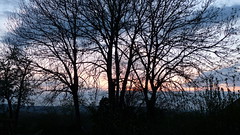 Arbres devant le coucher de soleil - Photo of Châtel-Montagne