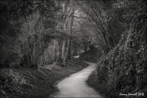 trees bristol march path earlymorning pathway parkland 2015 blaisecastleestate blackandwhitebristol blaisecastleestatebristol nikond7100 photographybyjeremyfennell bristolinmonochrome