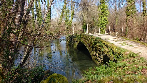 bridge santiago rio river way james spain espanha camino roman medieval ponte louro romana tui caminho tuy portugues orbelle